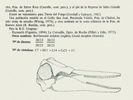 Guía para el reconocimiento de cetáceos del Mar Argentino