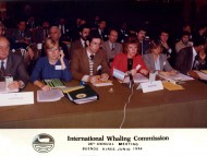 Delegación Argentina: Jorge Mermoz, Delia Newton, Hugo Castello, Daniel Vergani, Ricardo Bastida y Alfredo Lichter entre otros, durante el plenario de la reunión de la Comisión Ballenera Internacional. Buenos Aires 1984.