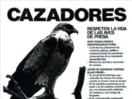 Primera responsabilidad en la FVSA: distribuir este afiche que difundía la necesidad de proteger a las aves rapaces. 1978.